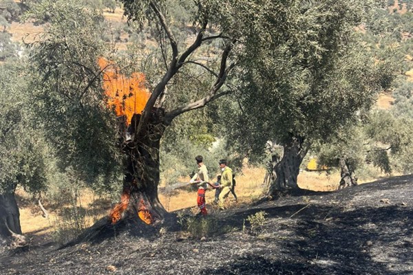 Aydın İtfaiyesi 2 günde 55 yangına müdahale etti