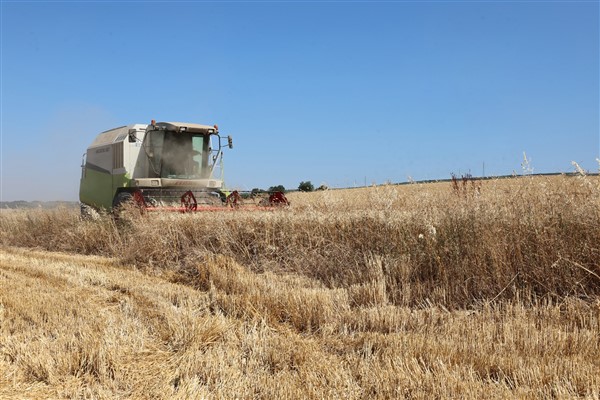 Nilüfer’de buğday hasadı başladı