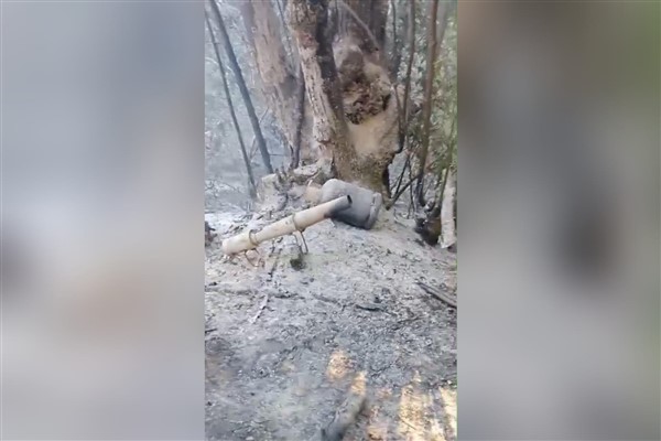 Sakarya Valiliği, Güldibi Mahallesi’nde çıkan yangının kontrol altına alındığını bildirdi