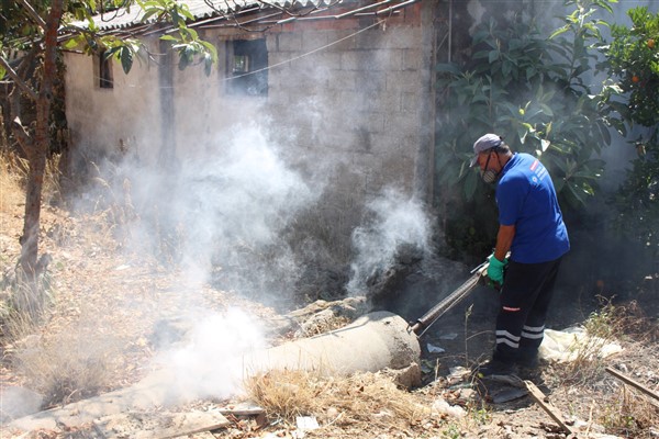 Antalya’nın tüm ilçelerinde haşereyle mücadele sürüyor