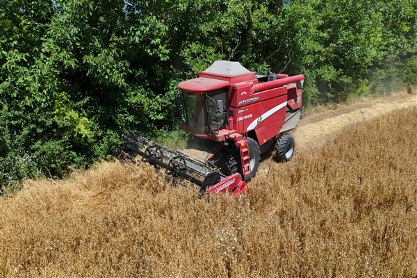 Düzce’de 10 tondan fazla arpa ve yulaf hasadı yapıldı
