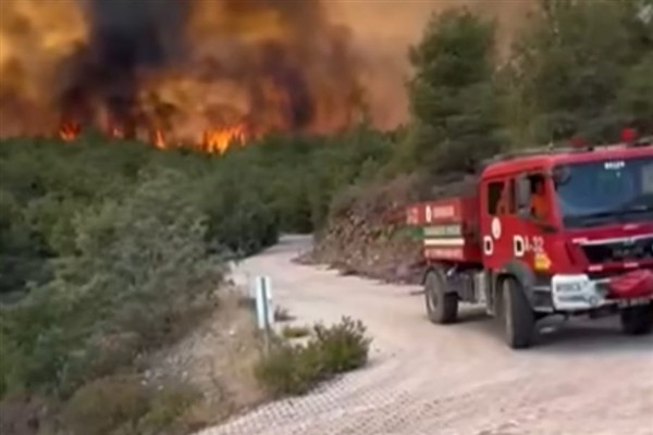Hatay’daki orman yangınına ilişkin 1 gözaltı