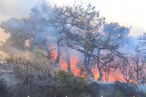 Antalya’da orman yangınlarına karşı mücadele sürüyor