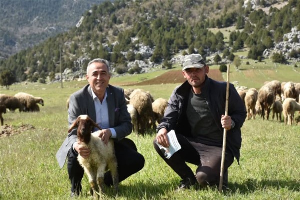 DEVA Partili Karatutlu: Deprem bölgesinde hayvancılık alarm veriyor