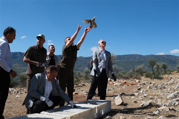 Vali Çiçekli, Bucakkışla’da keklik salınımına katıldı