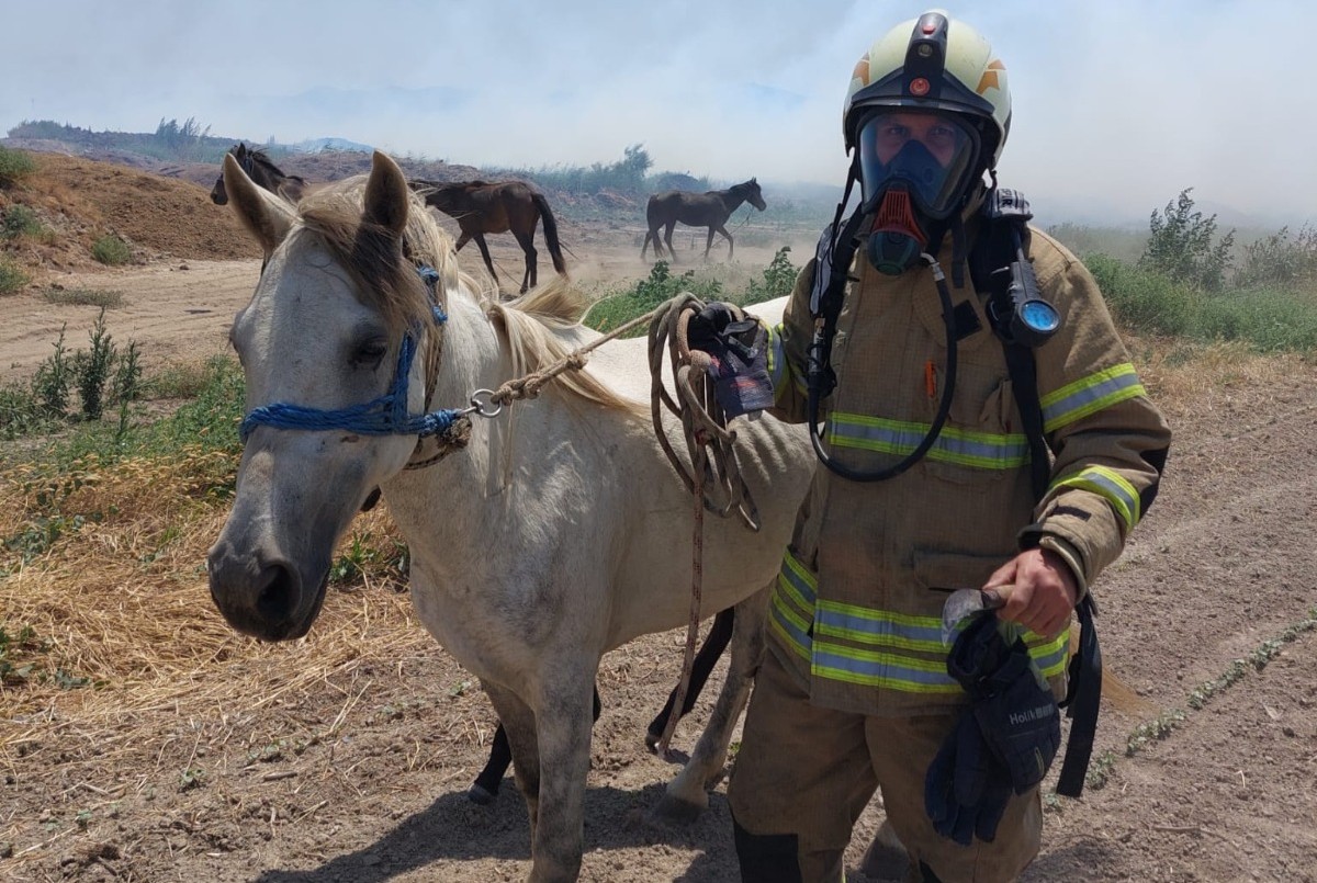 İzmir Büyükşehir Belediyesi İtfaiye Dairesi Başkanlığı ekipleri, hayvanları da kurtardı