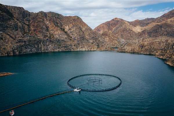 Xinjiang’da su ürünleri üretimi 70 bin tonu aştı