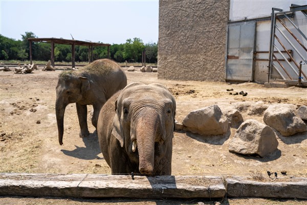 EEP Asya Filleri Koordinatörü’nden İzmir Doğal Yaşam Parkı’na ziyaret
