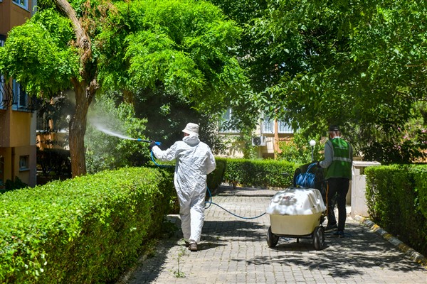 Esenyurt Belediyesi’nden ağaçlara teke böceği kalkanı