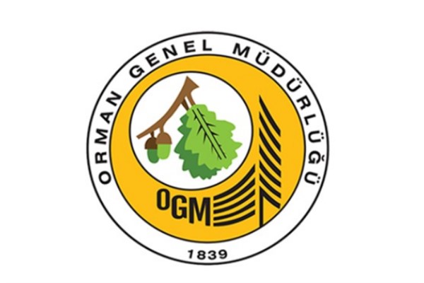 OGM: Yangınların enerjisi düşürüldü, mücadele kararlılıkla sürüyor