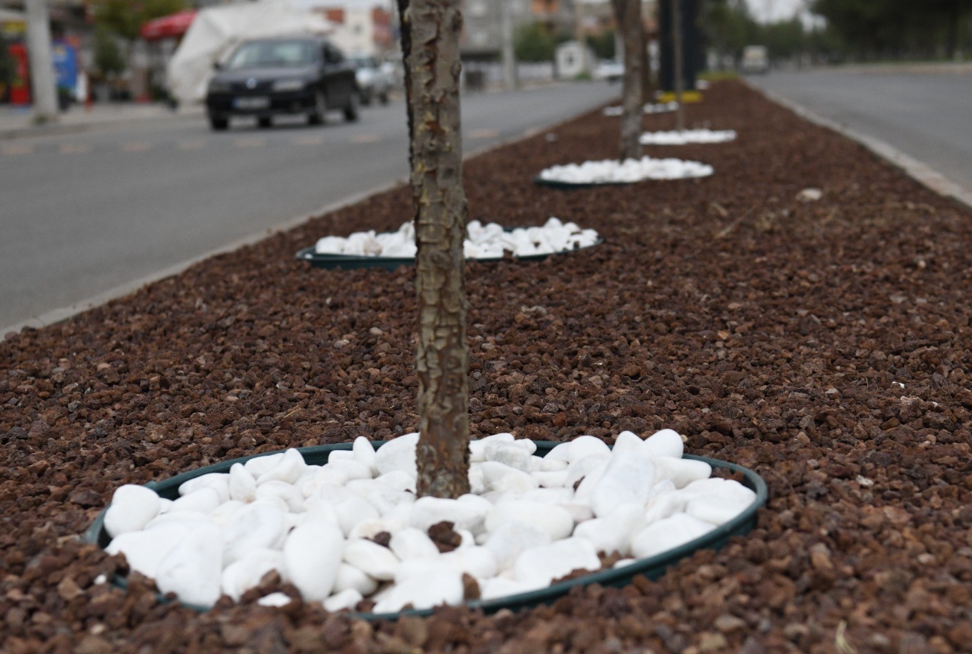 Bismil Belediyesi, ilçe merkezinde refüj düzenleme çalışmalarına devam ediyor