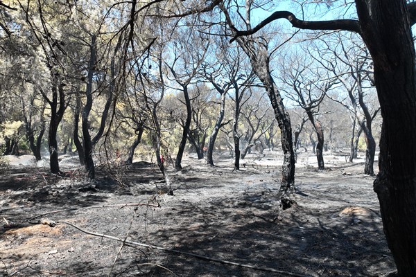 Muratpaşa’da meydana gelen yangın kontrol altına alındı