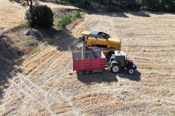 Pamukkale Belediyesi, 40 ton arpa üretti
