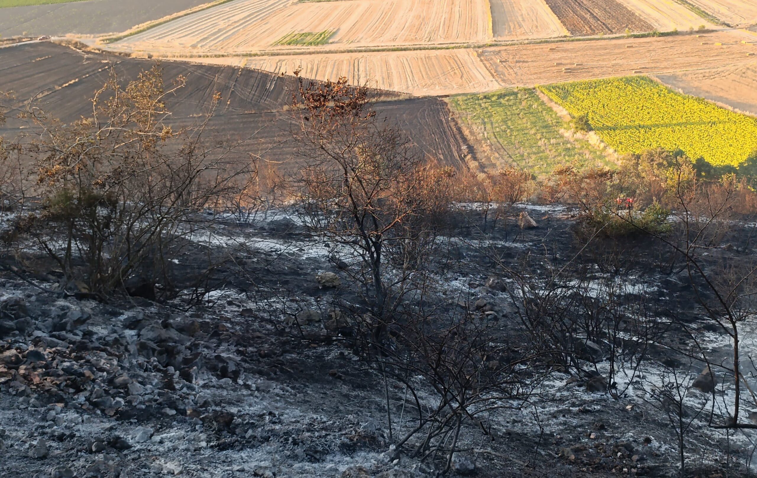 Karacabey Belediyesi, yangını büyümeden önledi