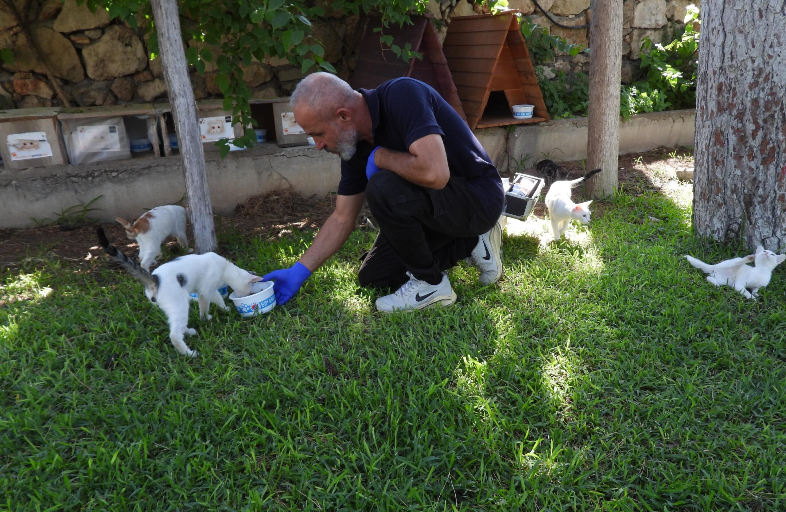 Kepez Belediyesi’nden sokak hayvanlarına bakım çalışması