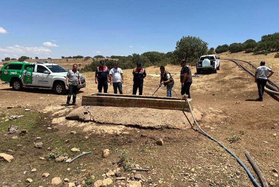 Batman’da kum keklikleri suyla buluştu