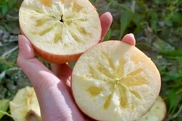 Çölden E-Ticaret merkezine: Aksu, meyvecilik ve dijital ticaretle nasıl zenginleşti