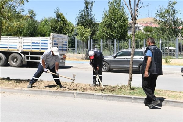 Muş Belediyesi, İstasyon Caddesi’nde yeşillendirme çalışmalarına başladı