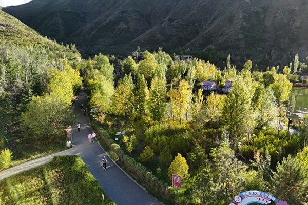 Çorak dağdan vahaya ekolojik değişim: Lasa Projesi