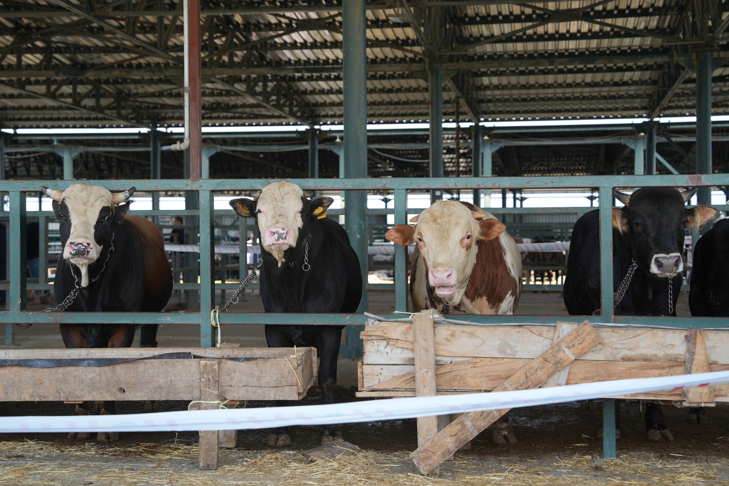 Hayvan pazarları geçici süreyle kapandı