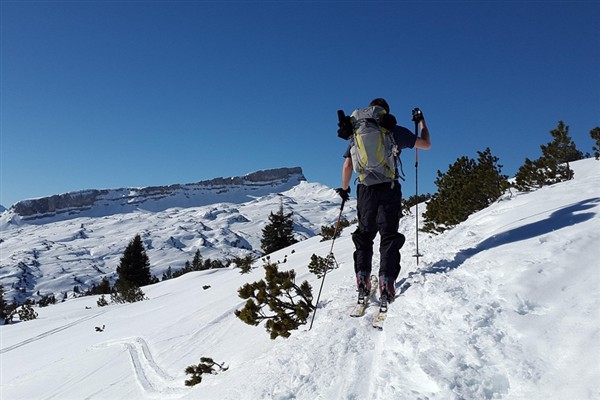 Alman sporcu Dahlmeier hayatını kaybetti