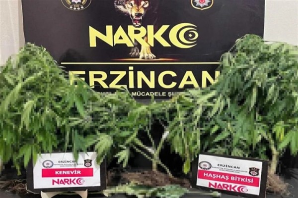 Erzincan’da uyuşturucu operasyonu: Kenevir ve haşhaş ele geçirildi