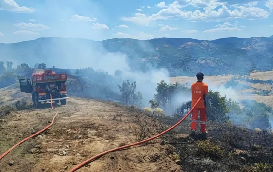 Bingöl’de üç farklı köyde çıkan orman yangınları büyümeden söndürüldü