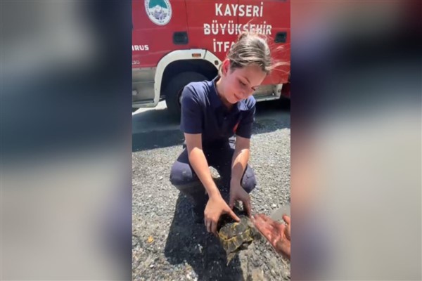 Kayseri İtfaiyesi, yangında mahsur kalan kaplumbağayı kurtardı