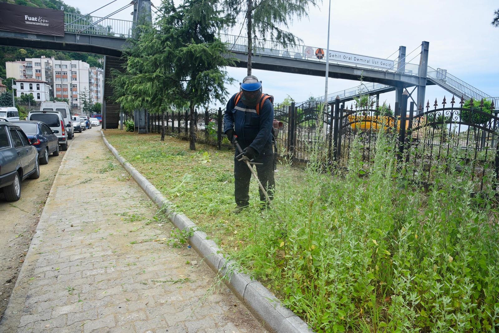 Giresun Belediyesi’nden çevre düzenleme çalışması