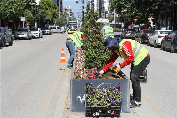 Van’da mevsimlik çiçek dikim çalışmaları sürüyor