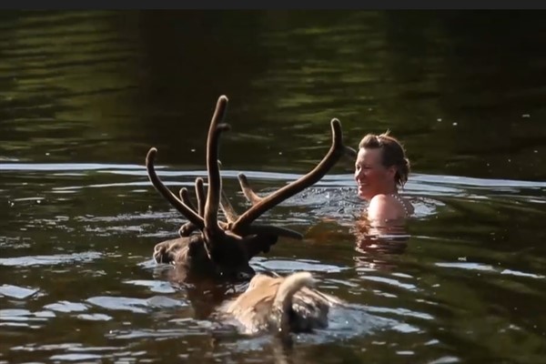Kuzey Kutup Dairesi’nin kuzeyinde insanlar hayvanları ile nehirde serinlik arıyor