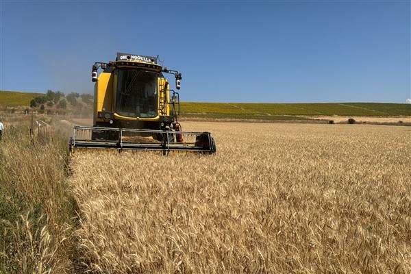 Çorum’da 80 dönümlük buğday tarlasında hasat tamamlandı