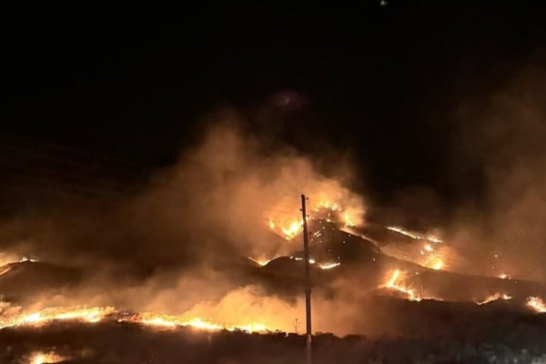 Bingöl’de orman yangını büyümeden söndürüldü