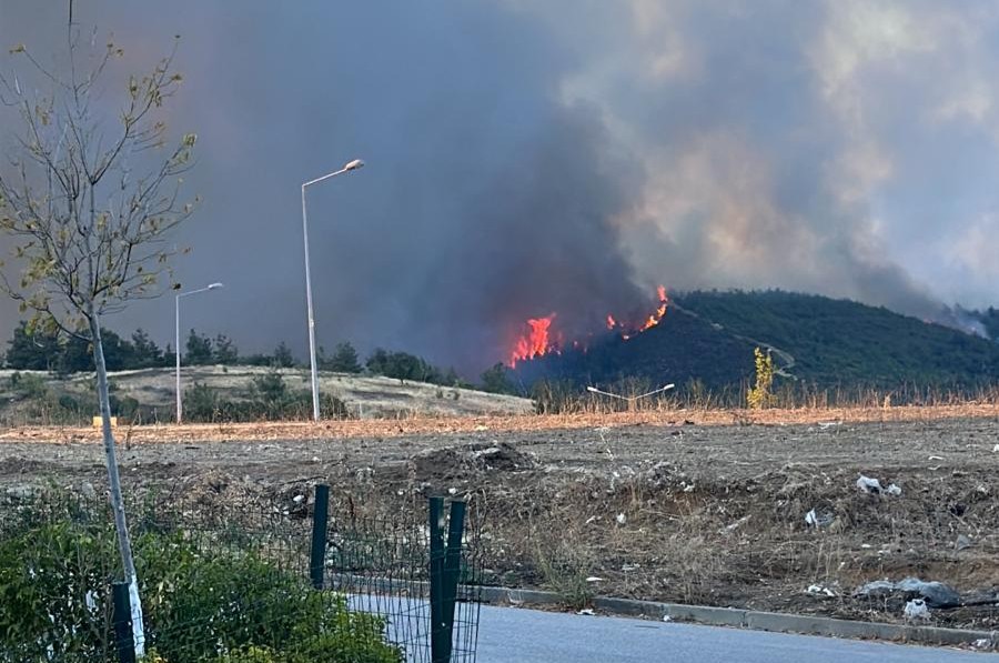 Bursa’nın Gürsu ilçesinde yangın çıktı