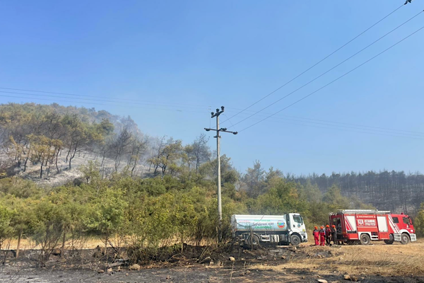 İBB, Sakarya ve Bilecik orman yangınlarına müdahaleye devam ediyor