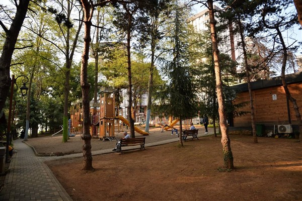 Boztepe Mahalle Muhtarı Kaplan, ağaç kesildiği iddialarını yalanladı