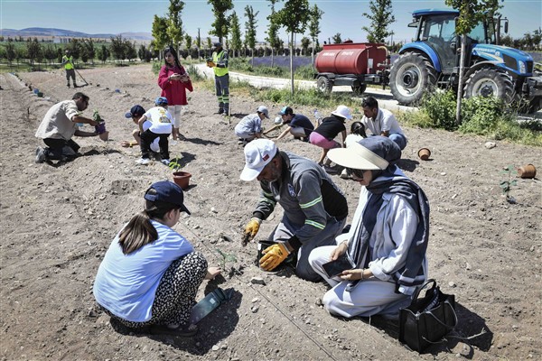 589 çocuk, filizlendirdikleri meşeleri Ata Çiftliği’nde toprakla buluşturdu