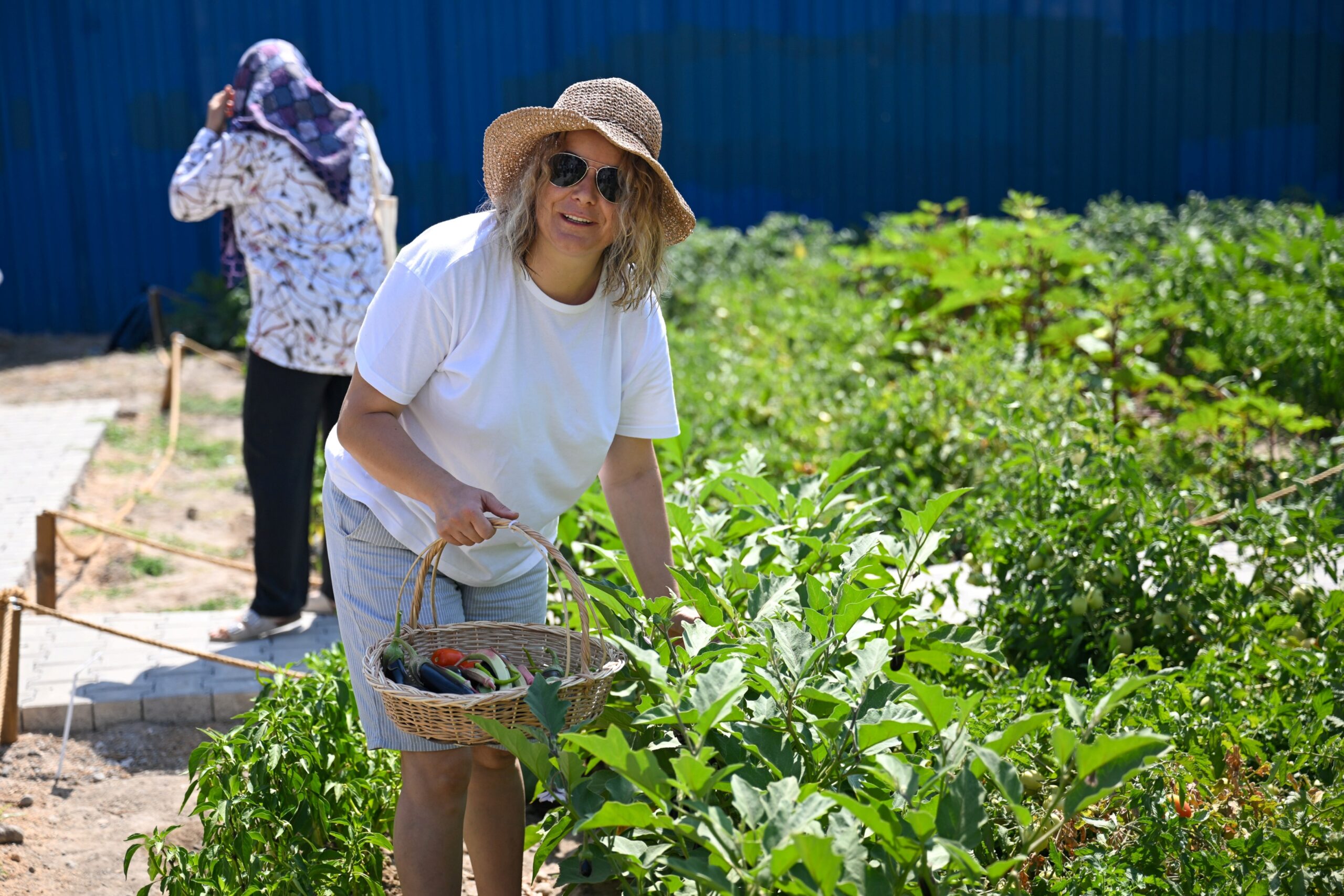 Bornova’da Kent Bostanları’nda hasat zamanı