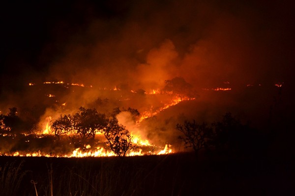 OGM’den “orman yangını açısından yüksek risk” uyarısı