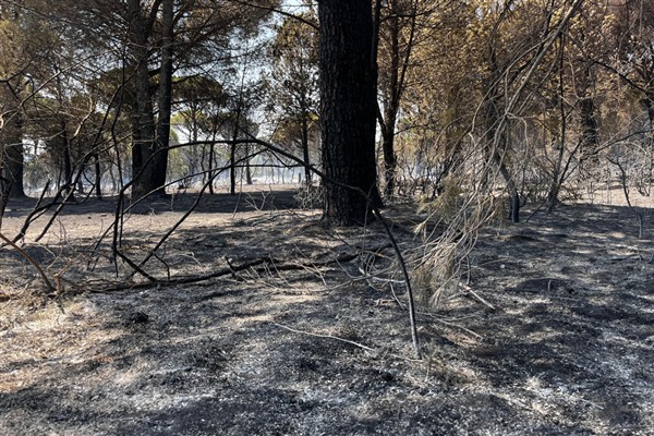Bergama’daki orman yangını kontrol altına alındı