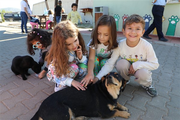 Muğla’da 3 bin 779 sahipsiz hayvan yeni yuvalarına kavuştu