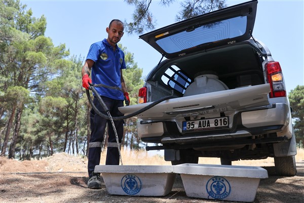 Buca Belediyesi’nden sokak hayvanları için hizmet