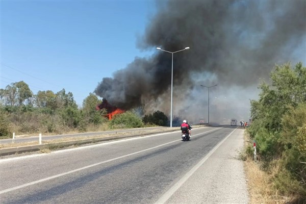 Selçuk-Kuşadası yolu kenarındaki yangın kontrol altına alındı