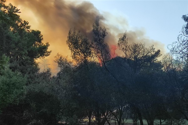 Muratpaşa’da kontrol altına alınan yangın yeniden başladı