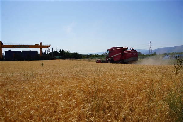 Orhangazi’deki hasattan elde edilen ürünler ihtiyaç sahibi vatandaşlara ulaştıracak