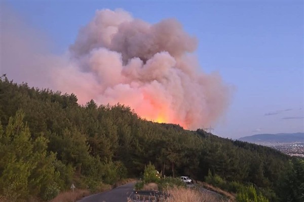Dörtyol’da orman yangını devam ediyor