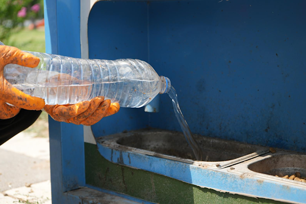 Kayapınar’da sokak hayvanları için su kabı uygulaması başladı