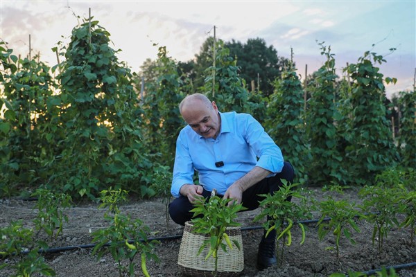 Başkan Özlü, hasat etkinliğine katıldı