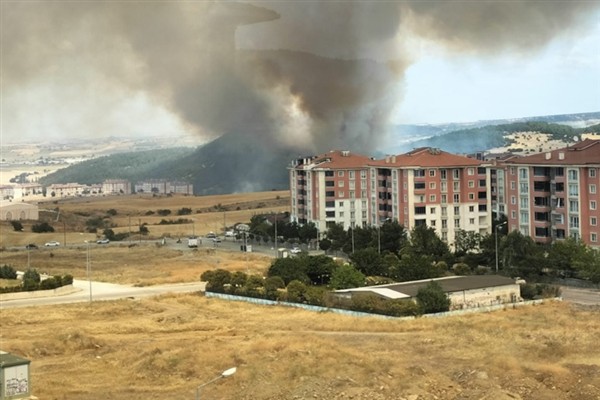 Keşan’da orman yangını