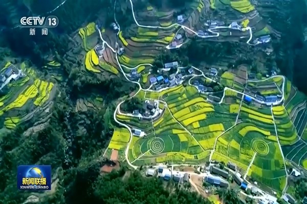 Çin, dünyanın en hızlı orman alanı artan ülkesi oldu